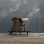 To Practice True Tolerance, must we Tolerate Intolerance?