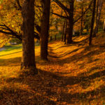 5 Spiritual Hygge Activities for Autumn