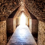 Near Death Experiences